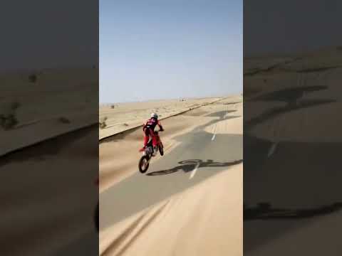 غزال صحراء شوف سرعه كيف 