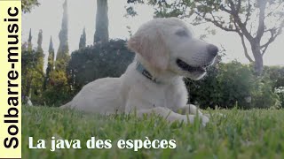 La java des espèces (Renaud - T Gauzy) Solbarre-music