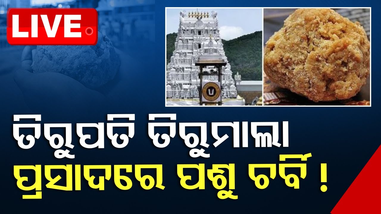 ????LIVE | ତିରୁପତି ପ୍ରସାଦରେ ଚର୍ବି ! | Tirupati laddoos contain beef fat, fish oil, confirms lab report
