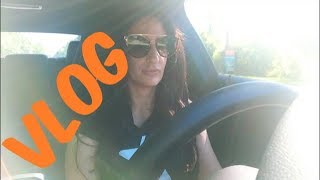LETS CHAT | VIB SALE, TRADER JOES, TARGET, SPIKEY