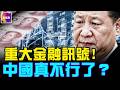 中國金融圈異動頻繁，巨大危機來臨！絕密報告暗示經濟比想像更遭！還有人民幣資產的必看：如何防止被關門打狗？#真飛#真觀點 05.28.2026