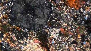 Andalusite cordierite slate (XPL)