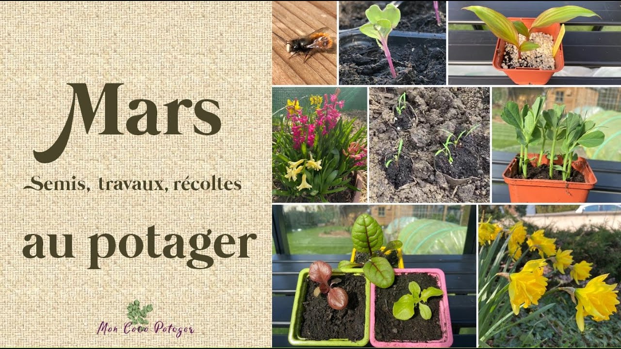 Que faire en Mars au potager ?