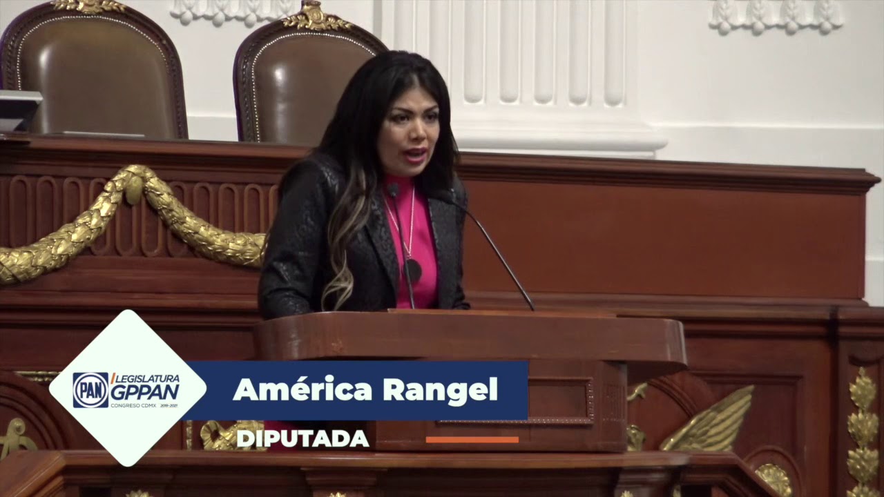 América Rangel pide al Gobierno atender las demandas de las mujeres ...