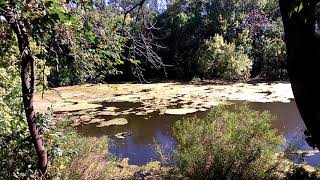 El Parque de pando... Que lindo...