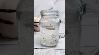 Dancing Ghosts | Halloween Science for Kids