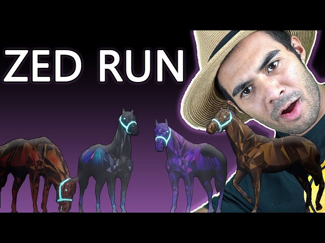 ZED RUN - 🐎 Make Money Racing Digital Horses on the Blockchain! class=