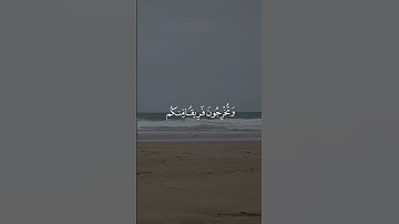 🤍يشرح الصدر🤍القرآن الكريم قصير🤍القارئ: مشاري العفاسي🤍