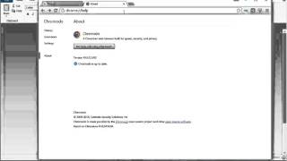 Uninstall Chromodo Browser Guide