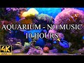 Aquarium 4k ultra no music and no ads  10 hours  fish tank sounds for sleep