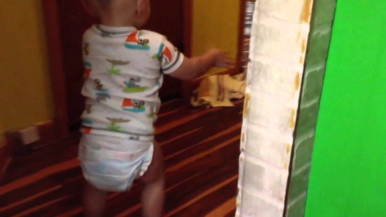 A walk, a crash, and a poop. YouTube