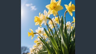 Download Lagu Bayangan Tanpa Angin Api MP3