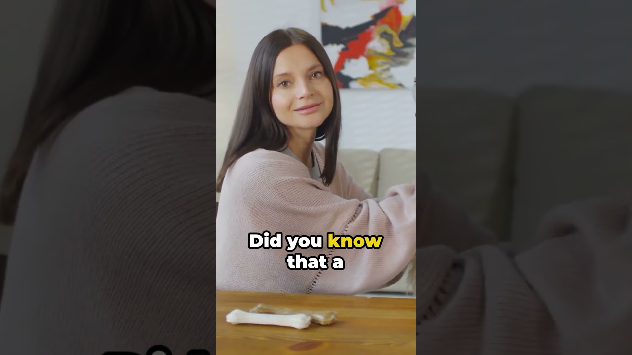 Pawbiotix From Paws to Tail, A Happy Dog’s Tale