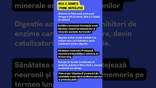 Nuci și Semințe: Combustibil „Viu” pentru Creier NuciCrude #Omega3 #SanatateCerebrala