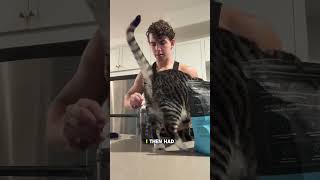 Can I Get Shredded in 60 Days? (Day 5)