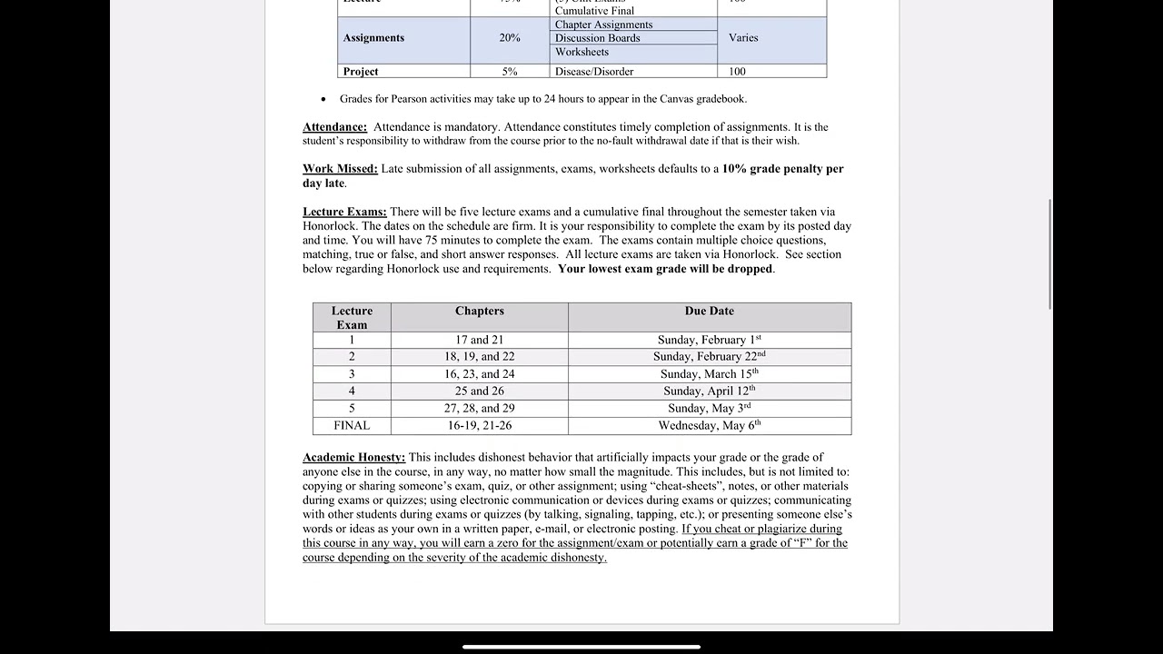 Видеообзор курса BSC2086-10653