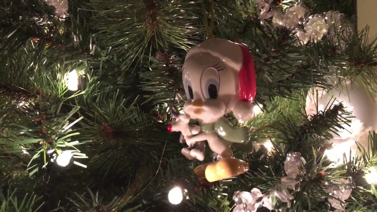 Sick CF Clinic Doctor Appointment