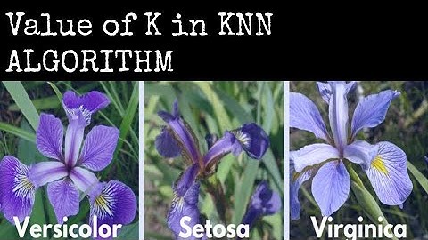 Finding K in K Nearest Neighbour Classification using Iris Dataset in Jupyter Notebook