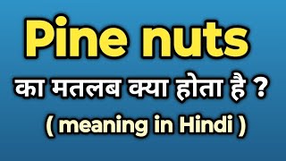 Pine nuts Meaning in Hindi || Pine nuts Ka Kya Matlab Hota Hai | Words Tube