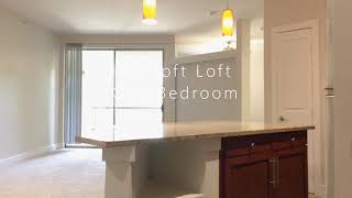 A2 Soft Loft One Bedroom Apartment Tour screenshot 3