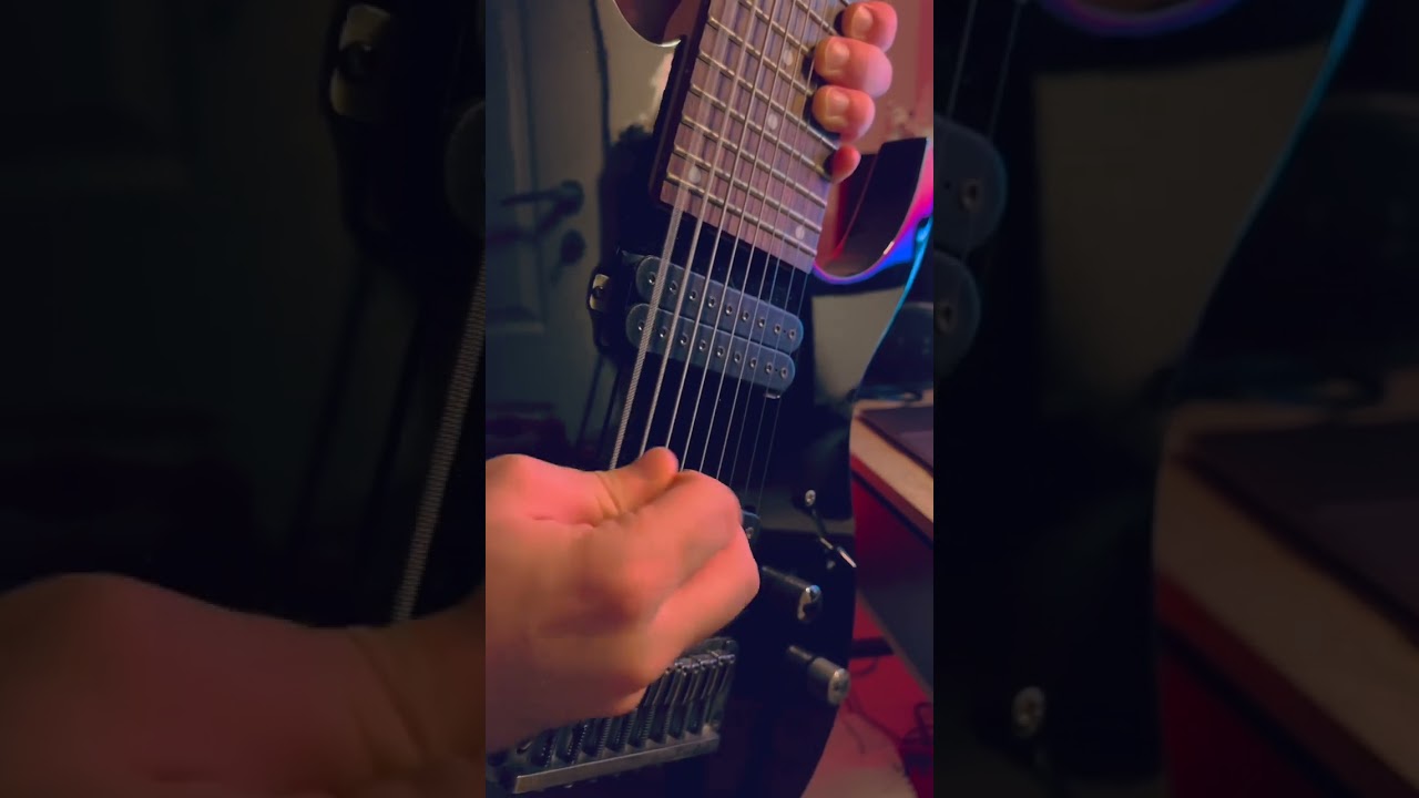 9 string djent is not a genre