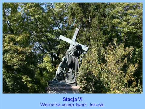 Pielgrzymaka maturzystów do Częstochowy - YouTube