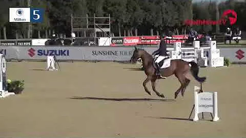 Donita - 140/145 Sunshine Tour 2019