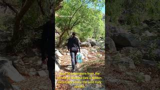 Do you know about this paradise 🏞😍 #nature #travel #love #forest #adventure #waterfall #udaipur