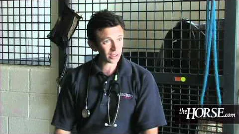 World Equestrian Games/FEI Competition Veterinary ...