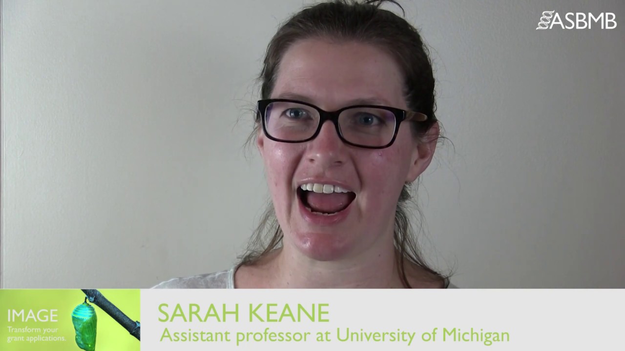 Sarah Keane on the IMAGE grant-writing workshop - YouTube