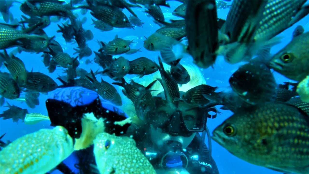 Scuba Diving in Green Bay Protaras Cyprus