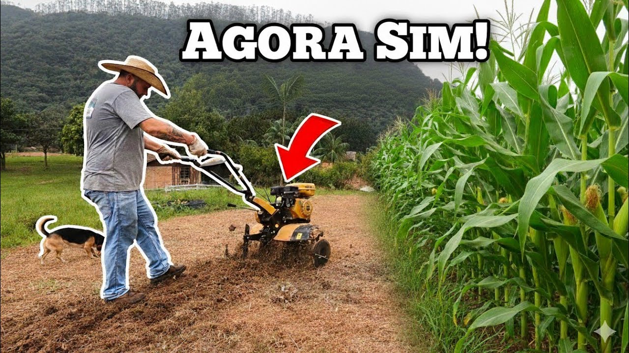 QUAL MELHOR EPOCA PARA PLANTAR MILHO