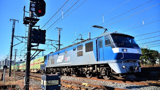 EF210-162 54レ 2024.2.3 東海道鶴見川橋梁