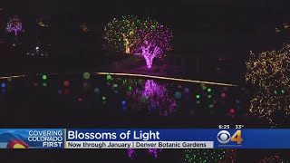 Weekend Things To Do In Denver