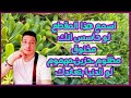 لما تكون مهموم مخنوق حزين مظلوم اسمع هذا المقطع