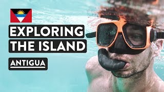 Tortoise Sanctuary, Snorkeling & Kayaking in Antigua | Caribbean Travel Vlog