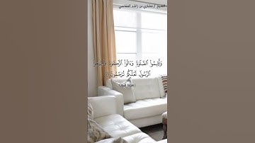 سورة النور الآية ٥٦ الشيخ مشاري العفاسي