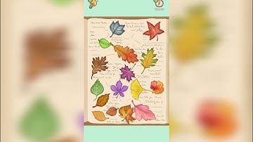 Satistory tidy up level 172 solution and walkthrough for gameplay