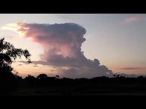 sum vi khub hai, # #shortvideo #nature #shorts
