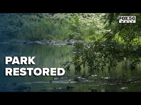 Darcy Park restoration in Scranton completed under DEP settlement after sediment release