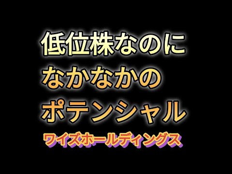 5955ワイズホールディングス。低位株なのになかなかのポテンシャル