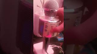 Anko Bluetooth Karaoke Microphone [Change Mic Effects, but noises while charging]