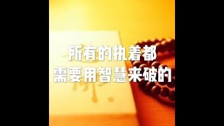 201607 所有的执着都需要用智慧来破的25402