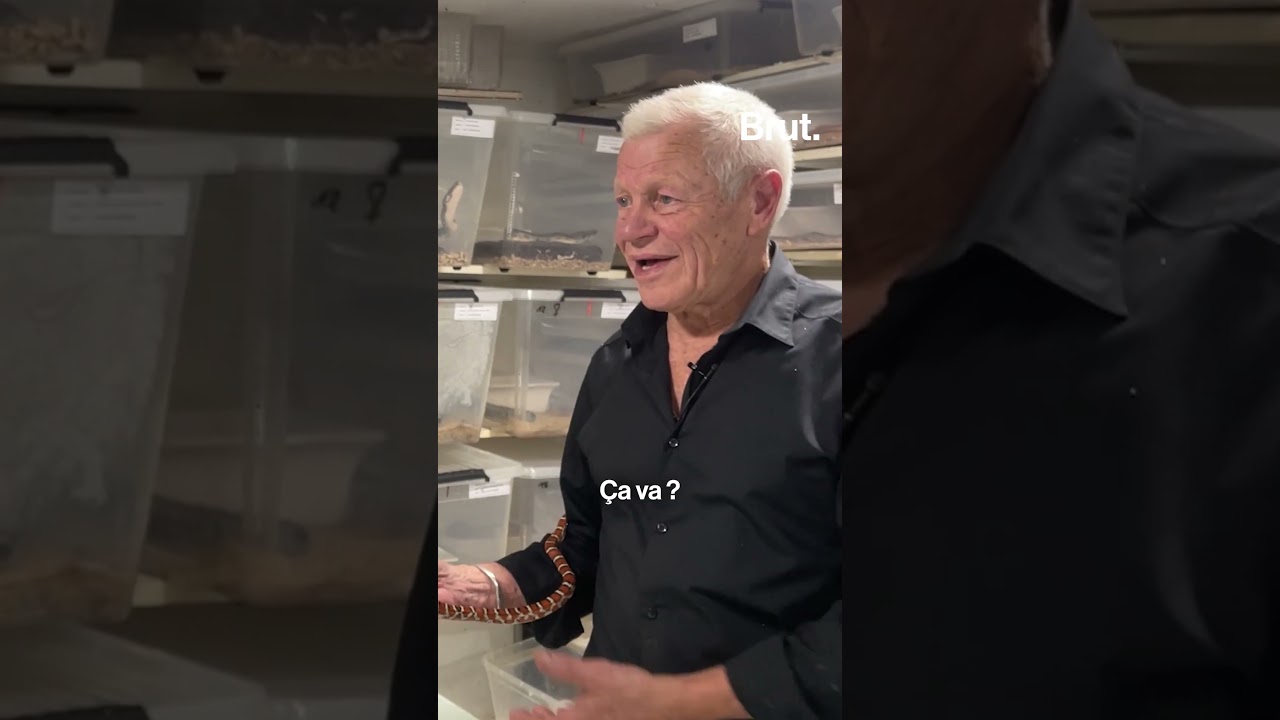 Une journée chez Philippe qui vit entouré de 400 reptiles