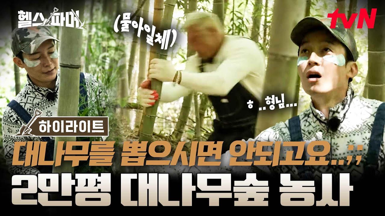 쇠질하던 실력으로 이젠 톱질까지🪚 그동안의 작업과 차원이 다른 대나무 1000그루 썰기🎍🔥