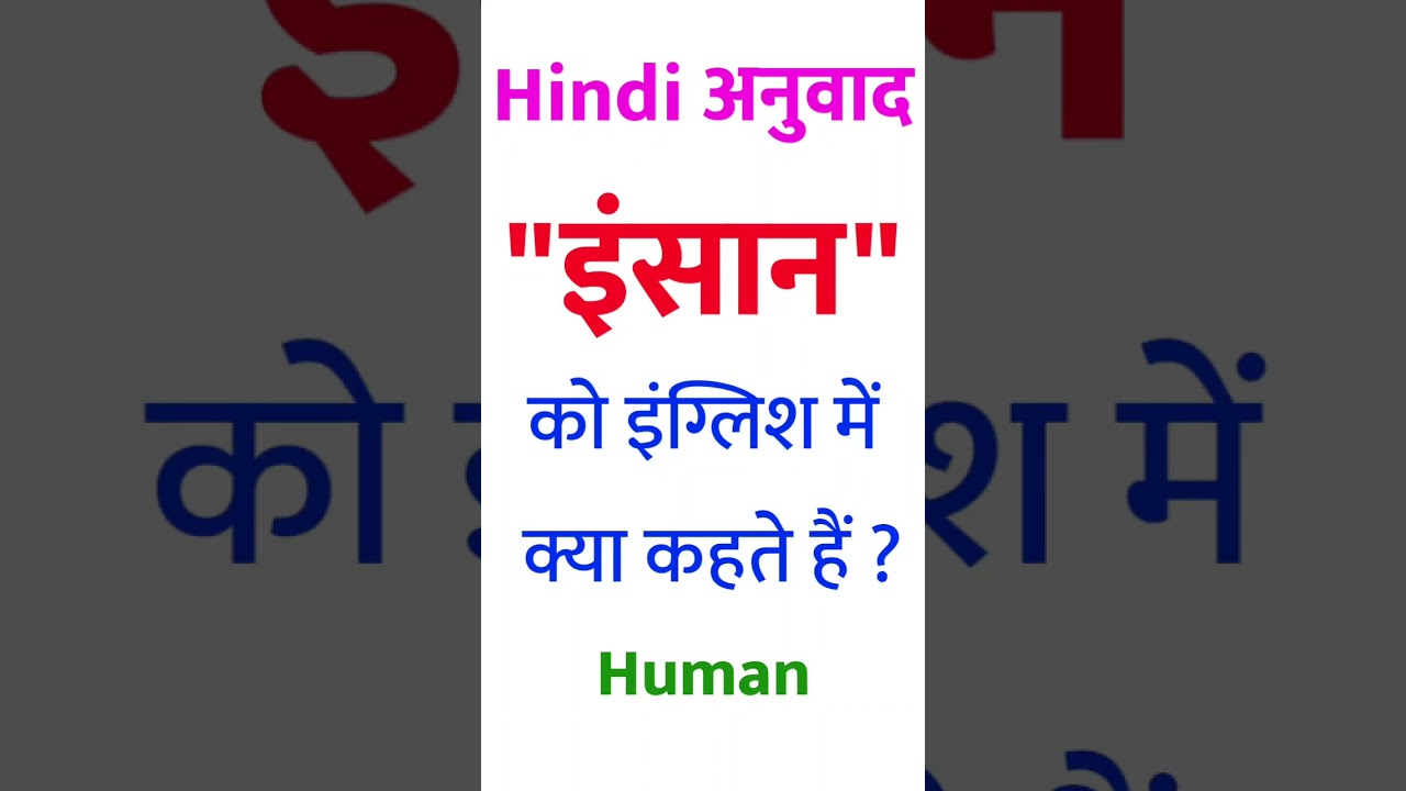 Insan ka english kya hota hai | Insan ko english mein kya kahate hain