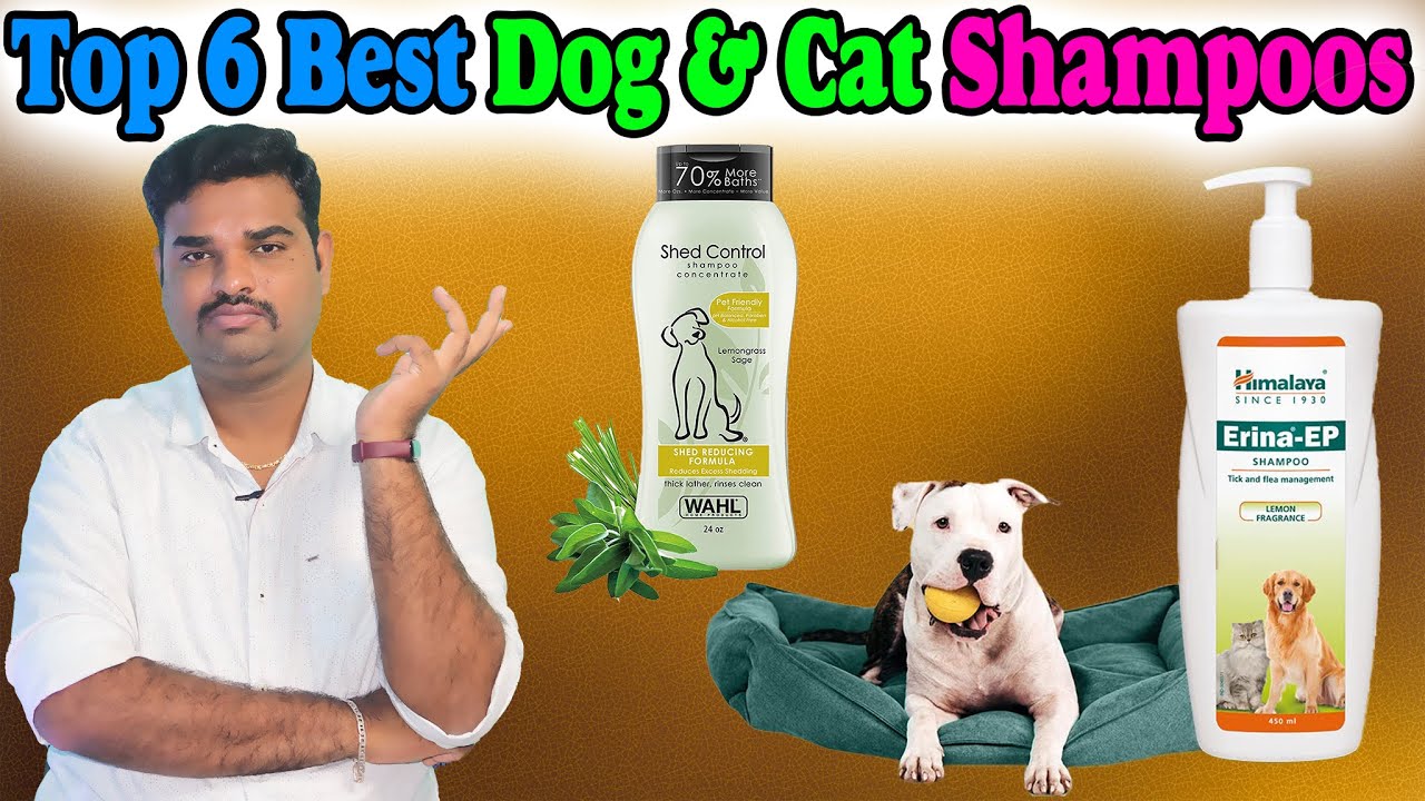 Top 6 Best Dog Shampoo In India 2023 With Price Cat Shampoo Review