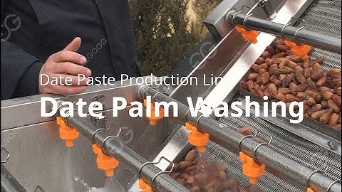 Date Palm Paste Processing Machine,washing , pitting,  grading , sauce,packing