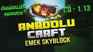 En İyi̇ Emek Skyblock Serveri̇