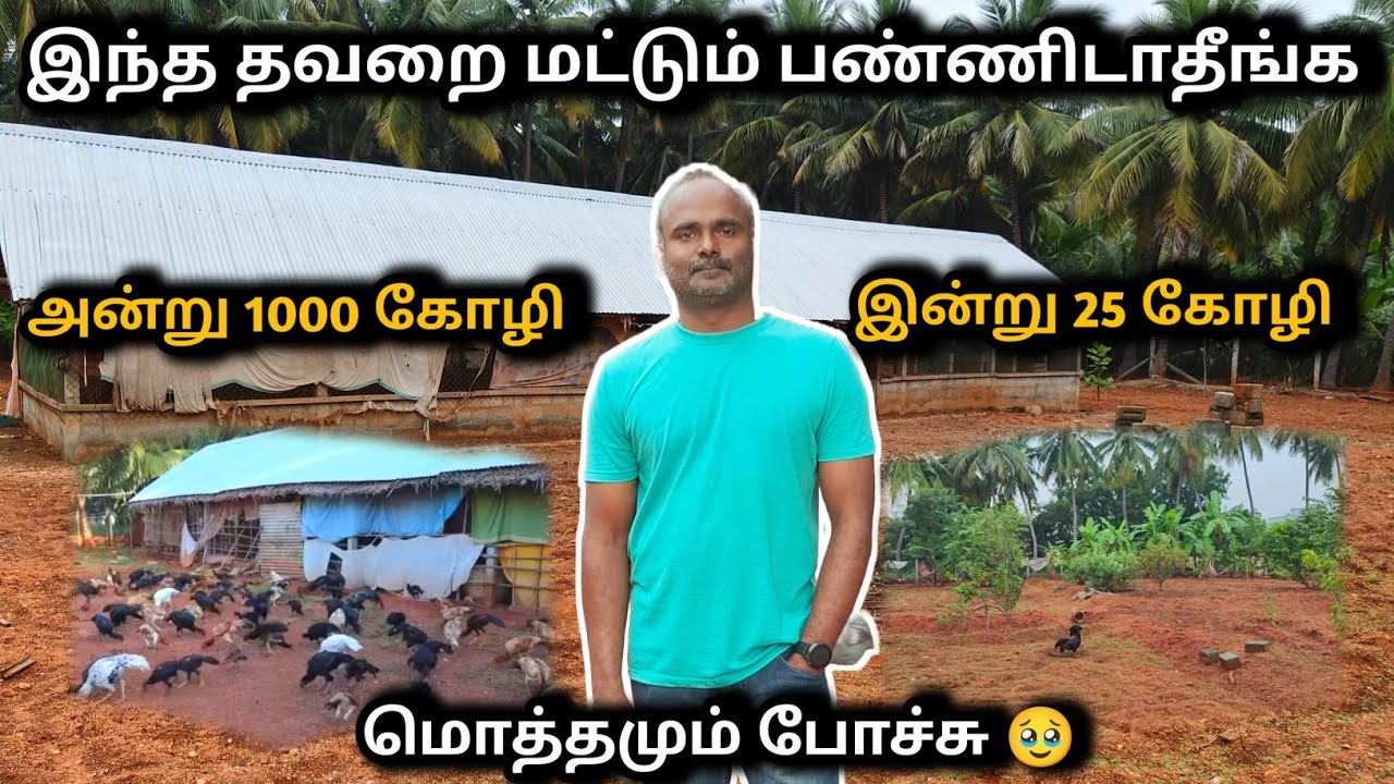 என்னுடைய 700 கோழி 🐓 இழந்துடன் || தயவு செய்து இதை பண்ணாதீங்க 🥹